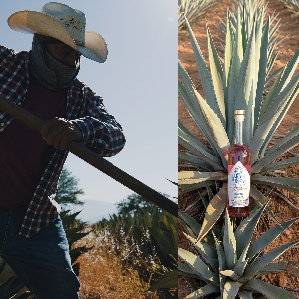 Mezcal artesanal  Jarabe de Rosas 750 ml  espadín